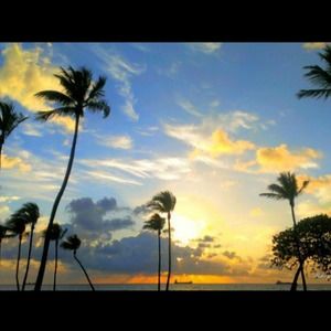 Meet your Posher, Elle